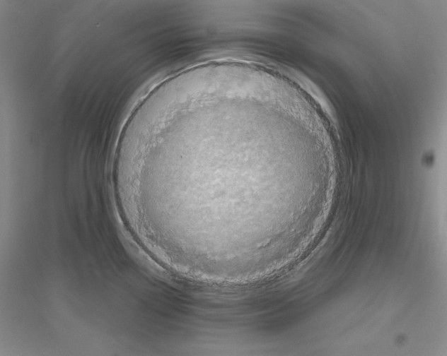 X0000116771338201001281625