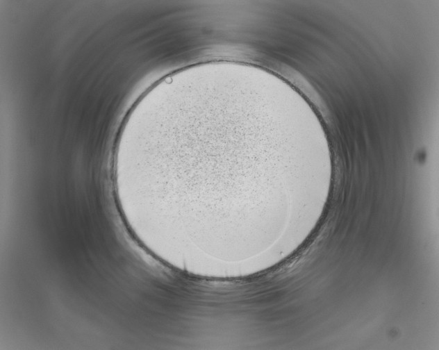X0000116771339201001281625