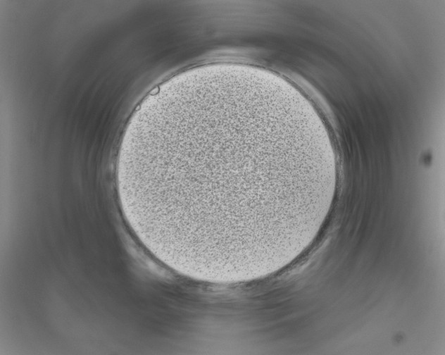 X0000116771341201001281625