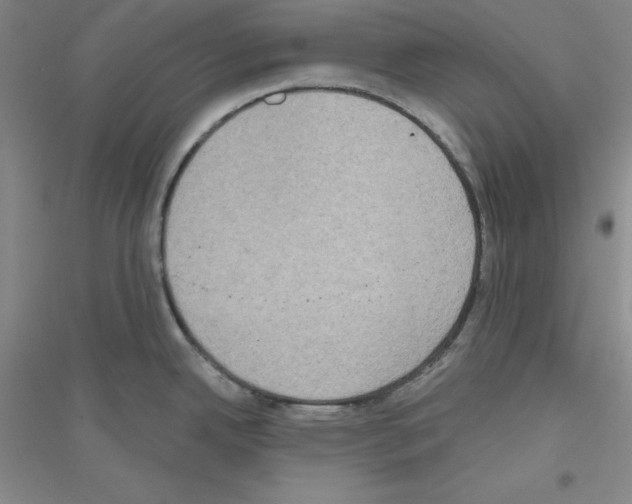 X0000116771342201001281625