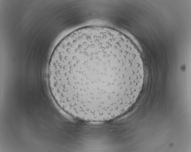X0000116771343201001281625