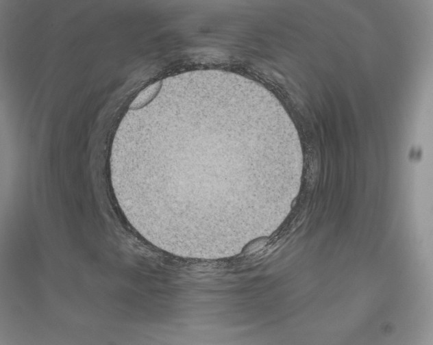 X0000116771345201001281624