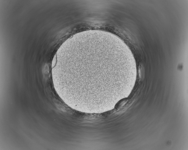 X0000116771347201001281624