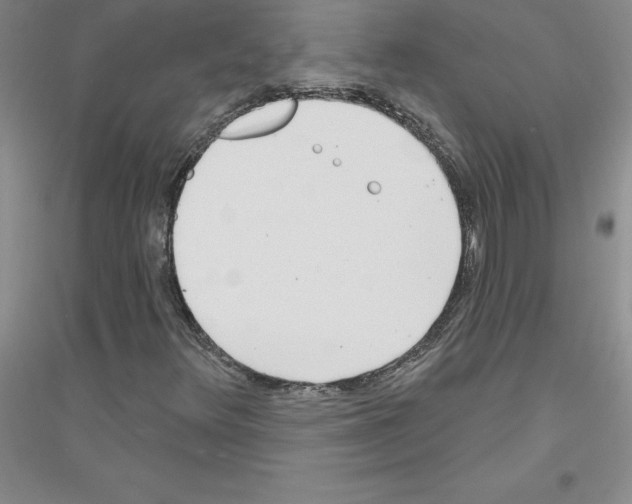 X0000116771348201001281624