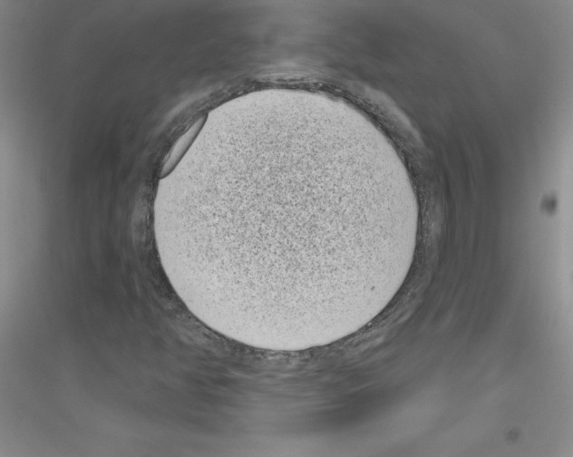 X0000116771350201001281624