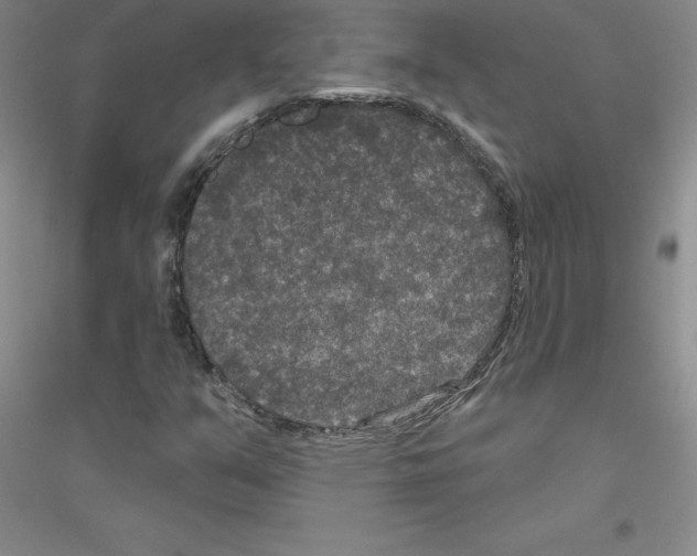 X0000116771351201001281624