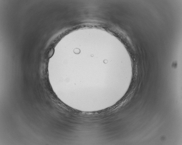 X0000116771352201001281624