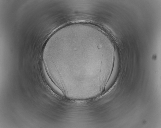 X0000116771353201001281624