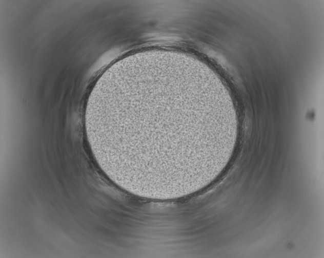 X0000116771354201001281624