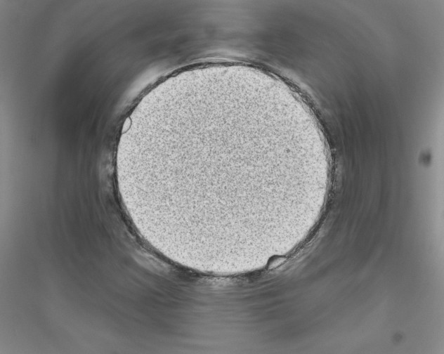 X0000116771355201001281624