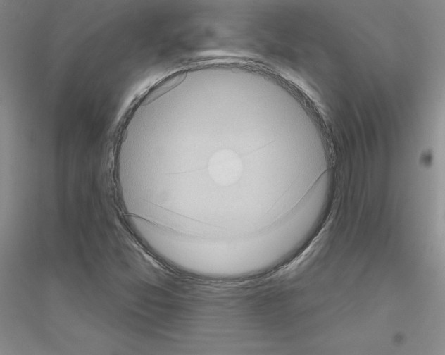 X0000116771357201001281624