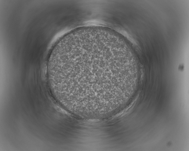 X0000116771358201001281624