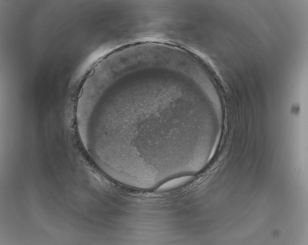 X0000116771359201001281624