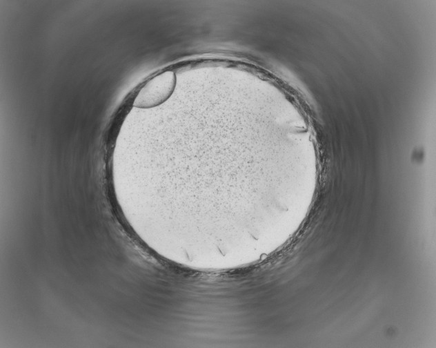 X0000116771360201001281624