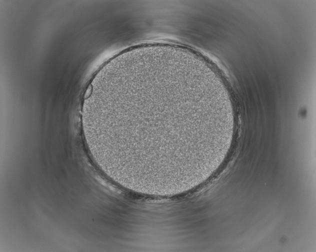 X0000116771363201001281624