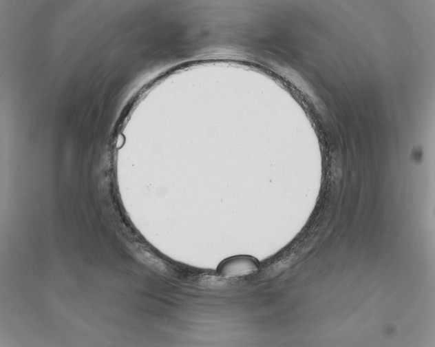 X0000116771364201001281624