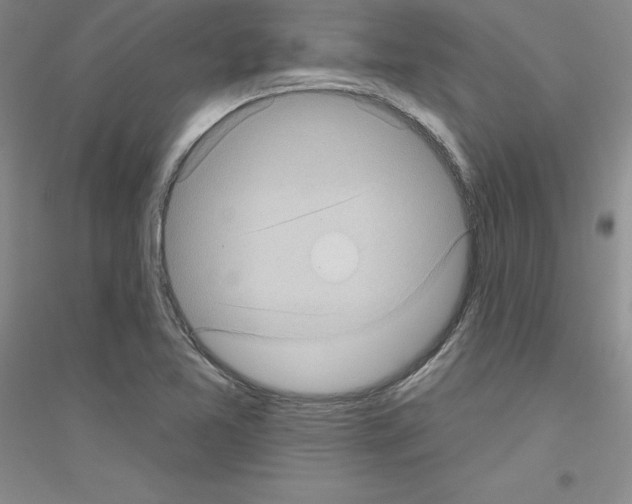 X0000116771365201001281624