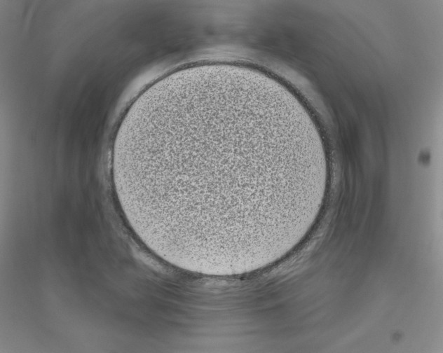 X0000116771366201001281624