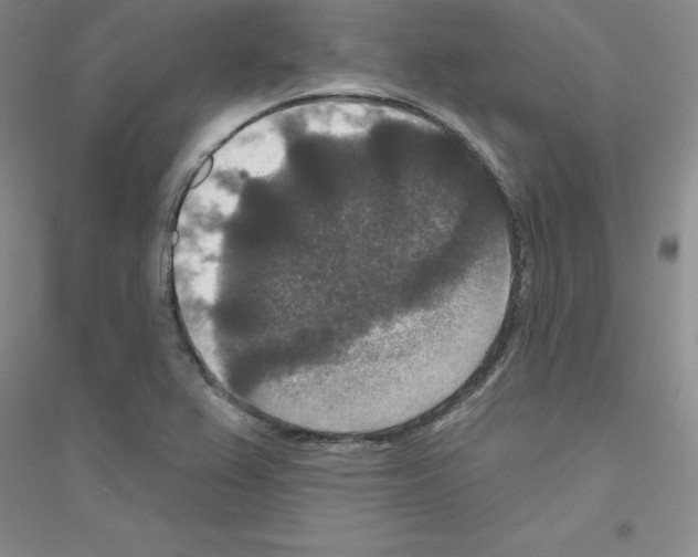 X0000116771367201001281624