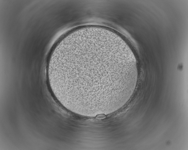 X0000116771368201001281624