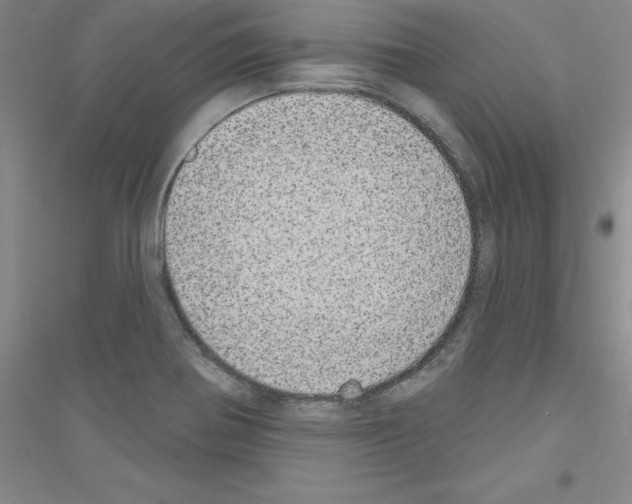 X0000116771370201001281624