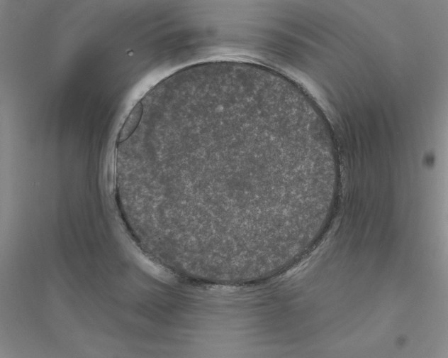 X0000116771371201001281624