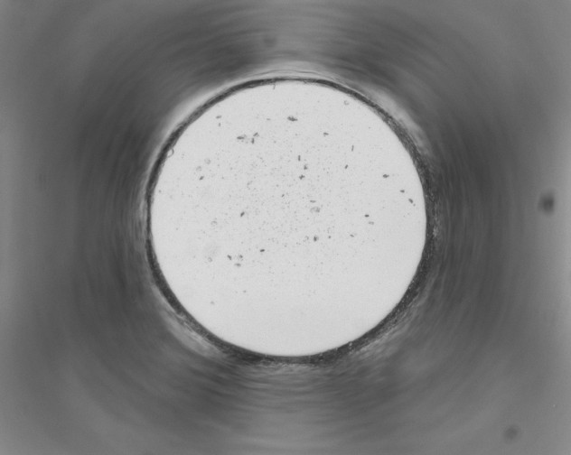 X0000116771372201001281624