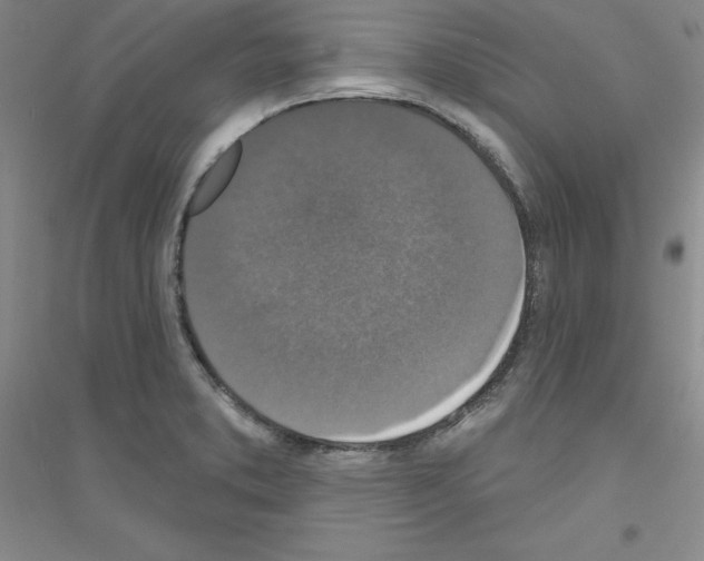 X0000116771373201001281624