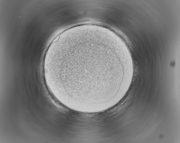 X0000116771375201001281624