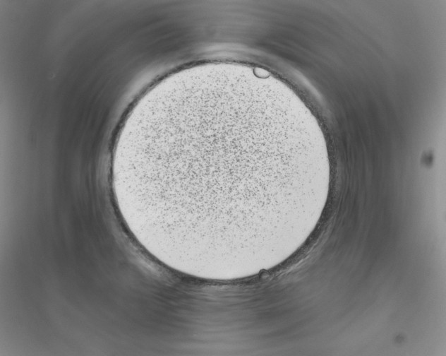 X0000116771376201001281624