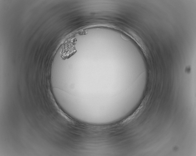 X0000116771377201001281624