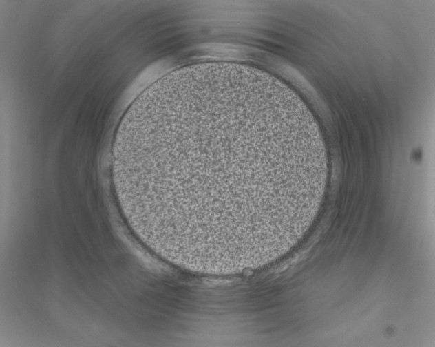 X0000116771378201001281624