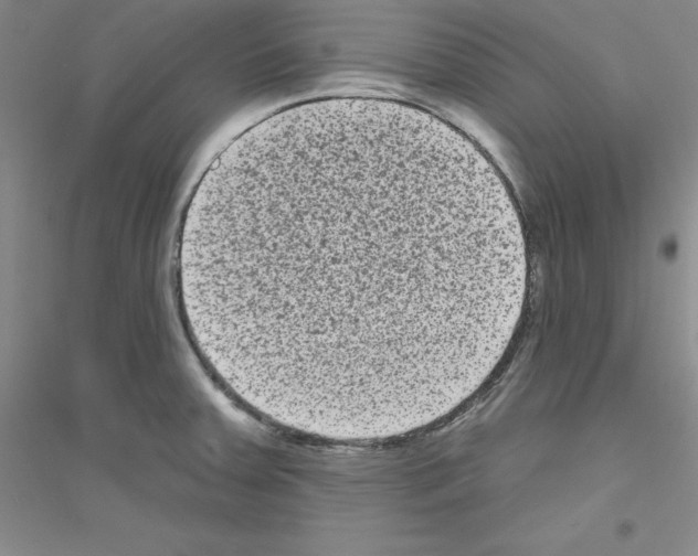X0000116771379201001281624