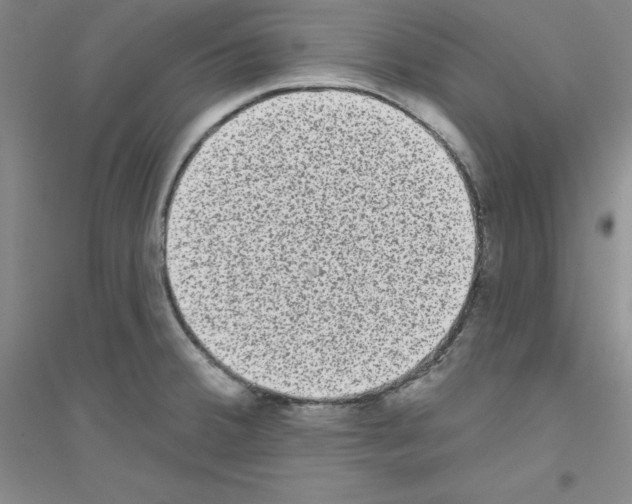 X0000116771380201001281624
