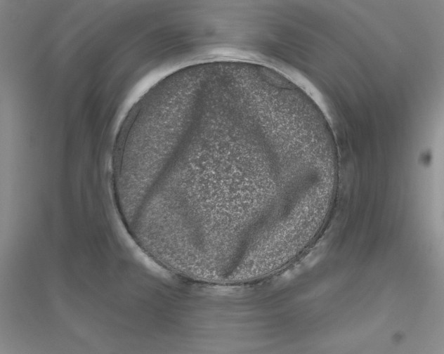 X0000116771381201001281624