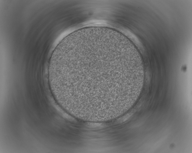 X0000116771382201001281624