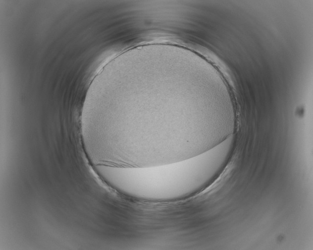X0000116771385201001281624