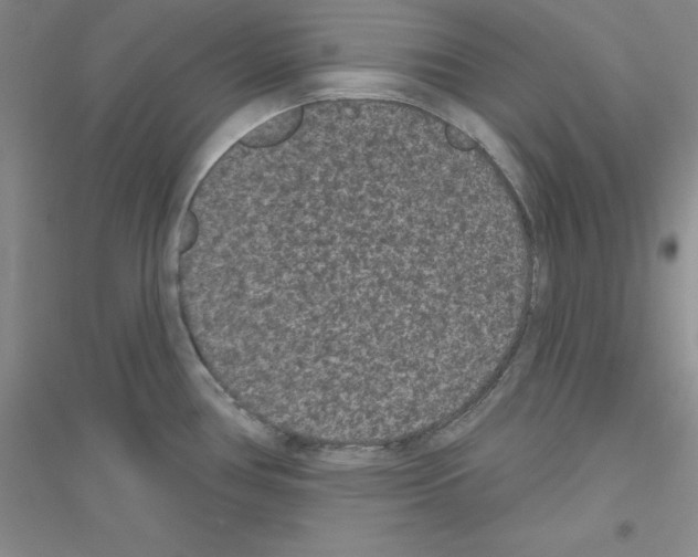 X0000116771386201001281624