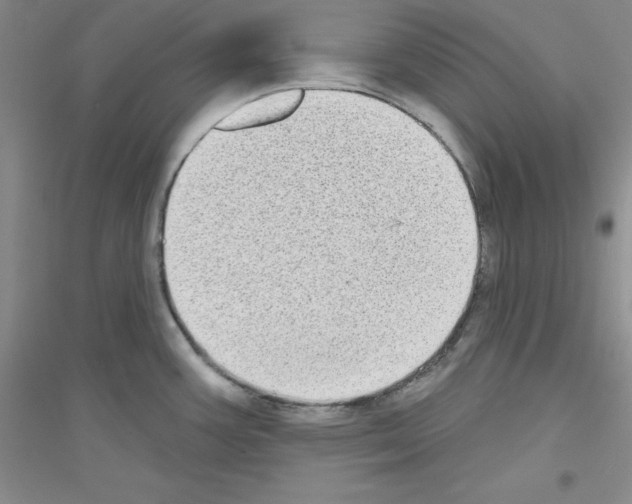 X0000116771387201001281624