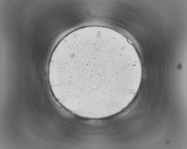 X0000116771388201001281624