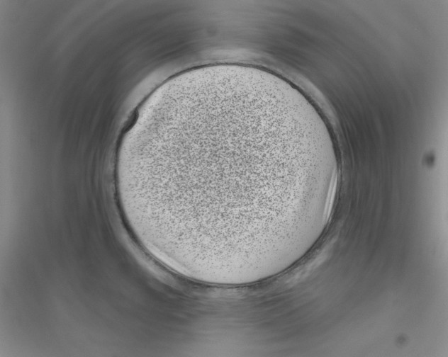 X0000116771389201001281623