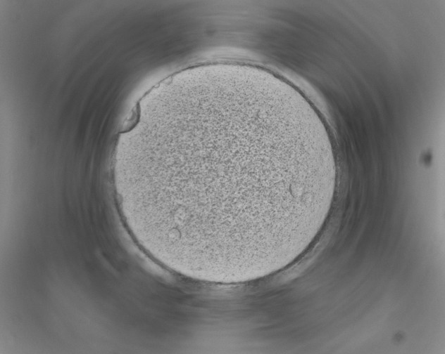 X0000116771390201001281623