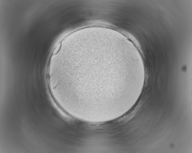 X0000116771391201001281623