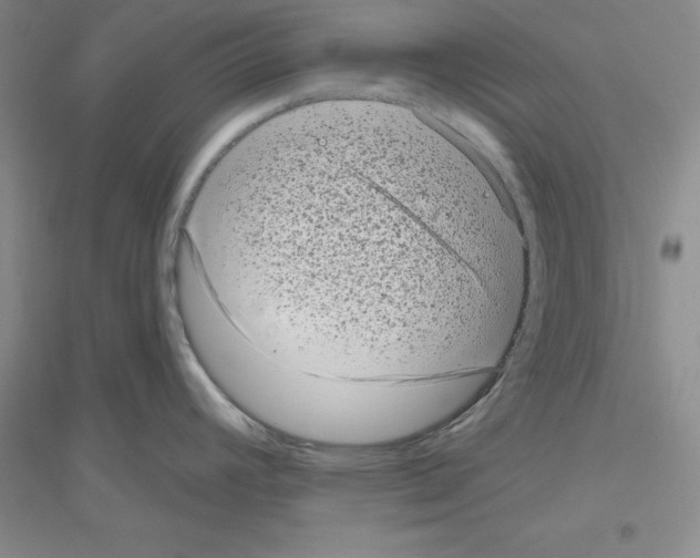 X0000116771392201001281623