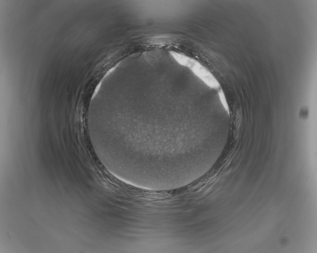 X0000116771394201001281623
