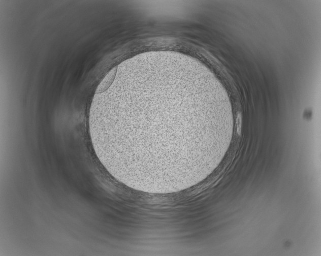 X0000116771395201001281623