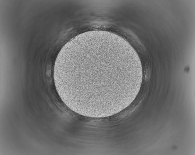X0000116771396201001281623