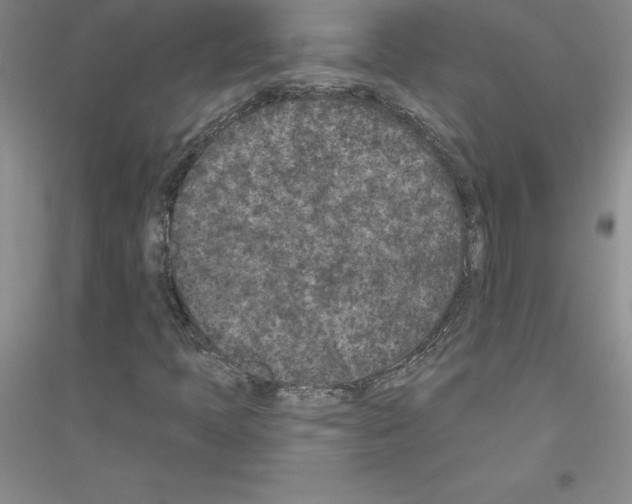 X0000116771397201001281623