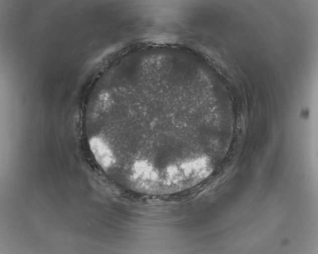 X0000116771398201001281623