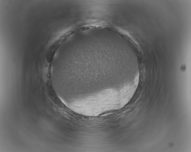 X0000116771399201001281623